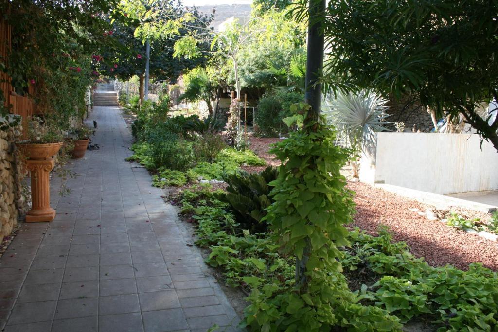 Gil'S Guest Rooms Neve Zohar Exterior photo