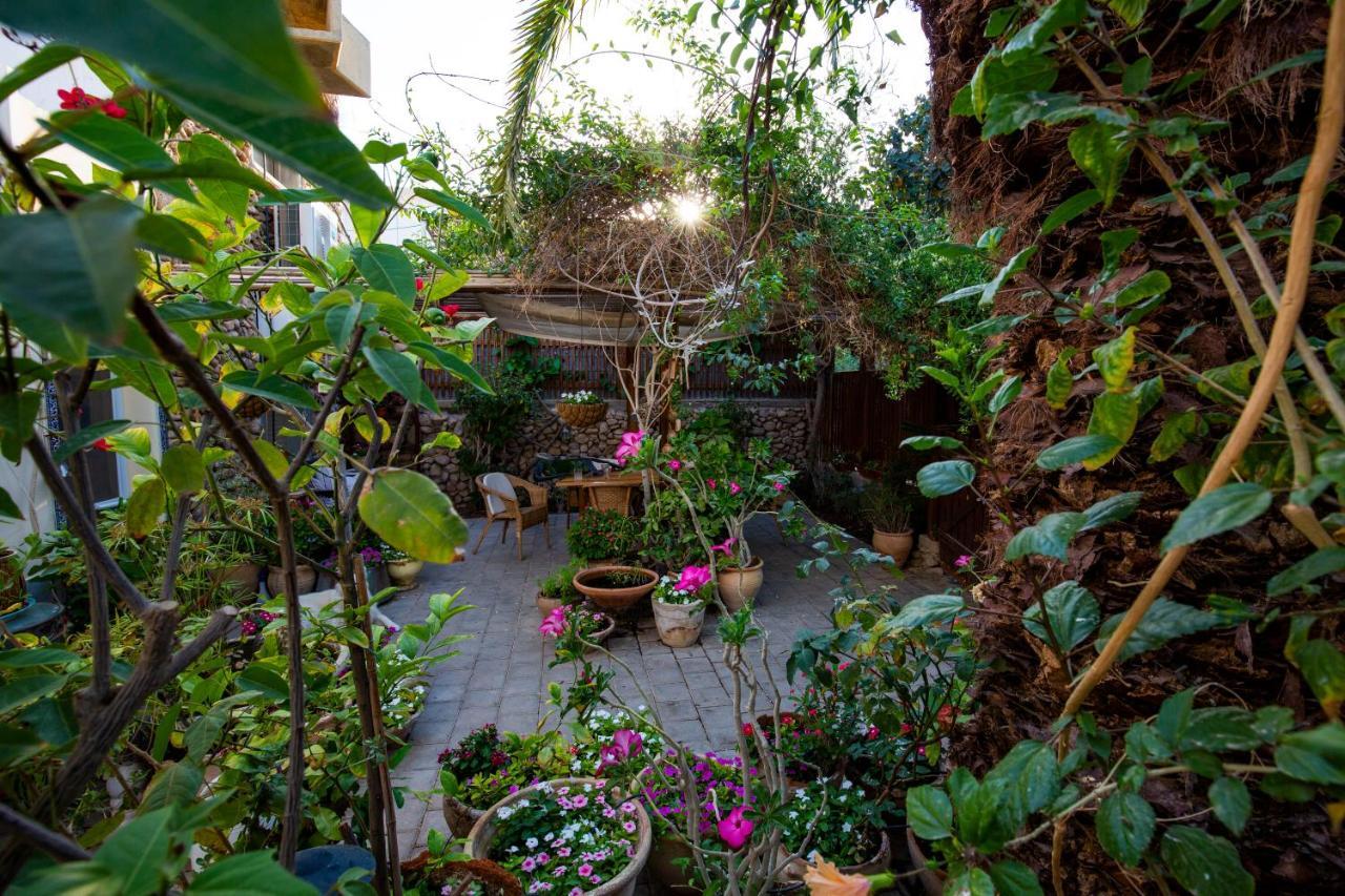 Gil'S Guest Rooms Neve Zohar Exterior photo